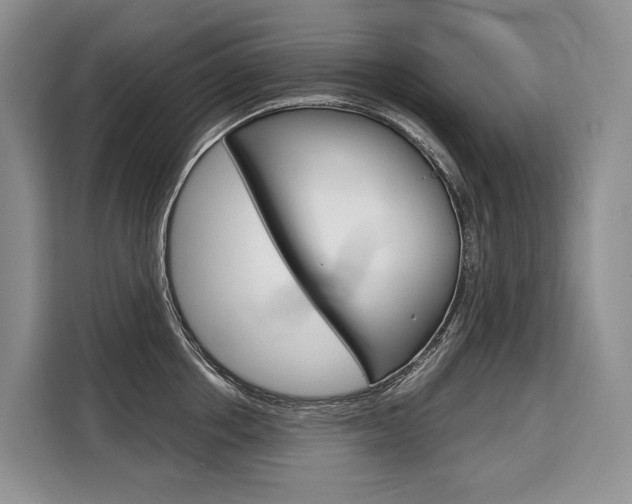 X0000110320858200905211204