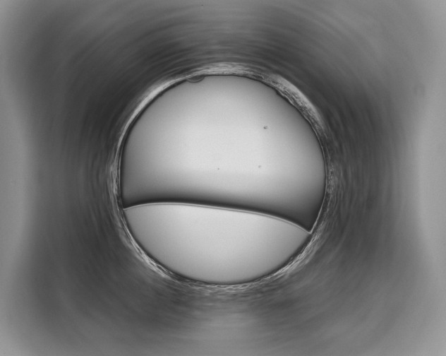X0000110320860200905211204