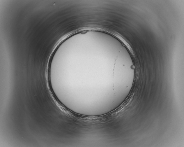 X0000110320861200905211204
