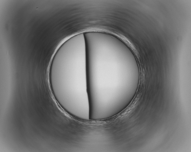 X0000110320862200905211204