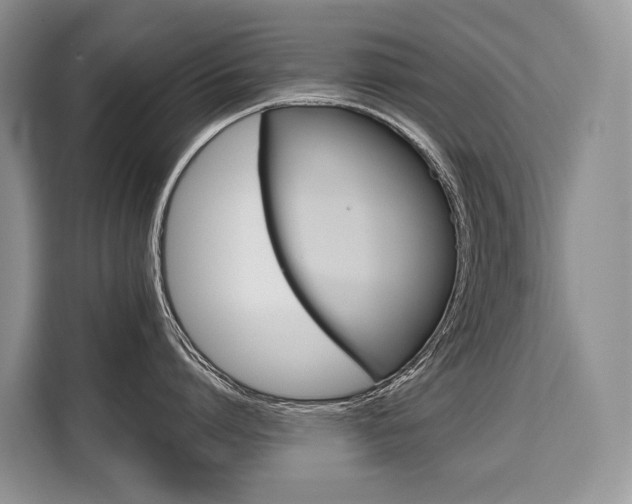 X0000110320864200905211204