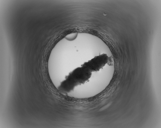 X0000110320865200905211204