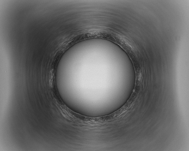 X0000110320868200905211204
