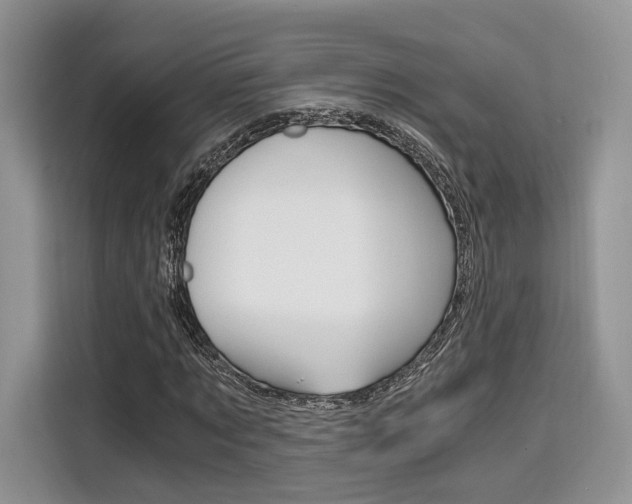 X0000110320869200905211204