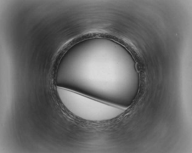 X0000110320872200905211204