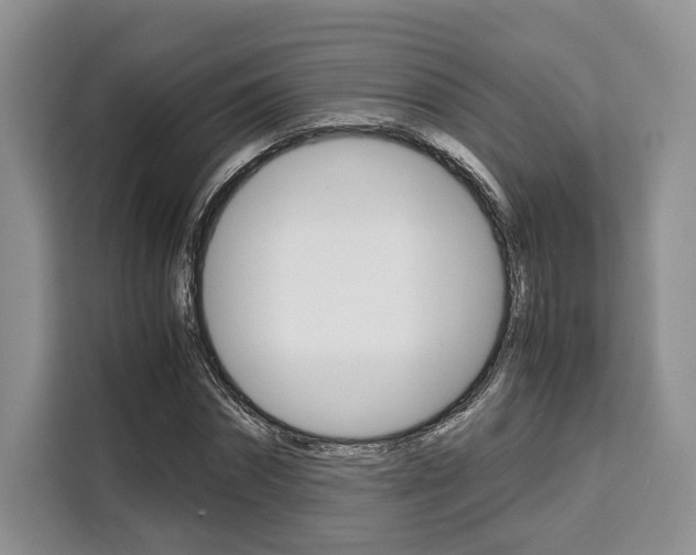 X0000110320874200905211203