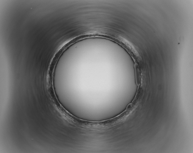 X0000110320876200905211203