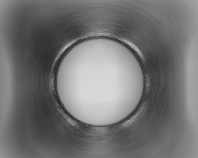 X0000110320878200905211203