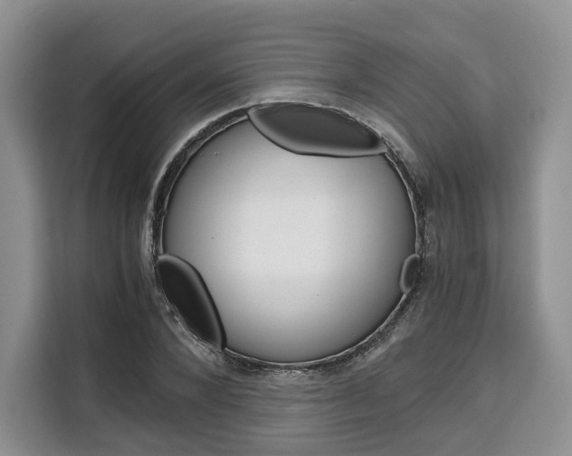 X0000110320880200905211203