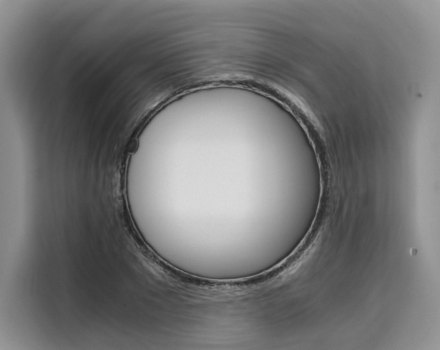 X0000110320881200905211203