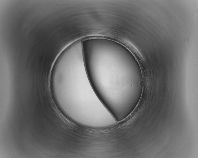 X0000110320884200905211203