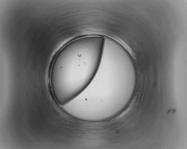 X0000110320885200905211203