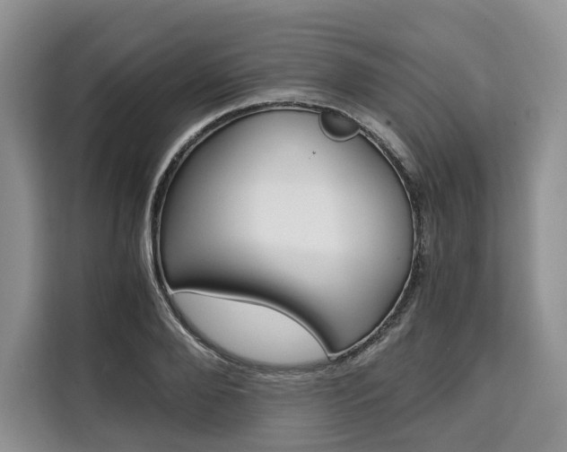 X0000110320888200905211203