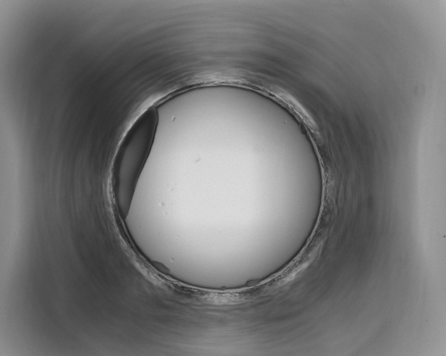 X0000110320893200905211203