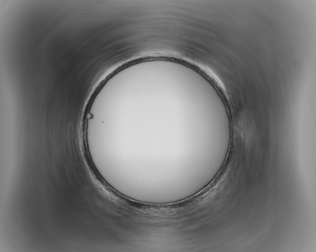 X0000110320895200905211203