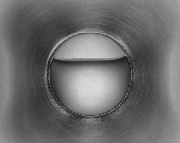 X0000110320896200905211203