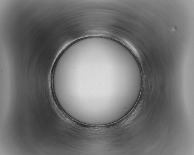 X0000110320899200905211203