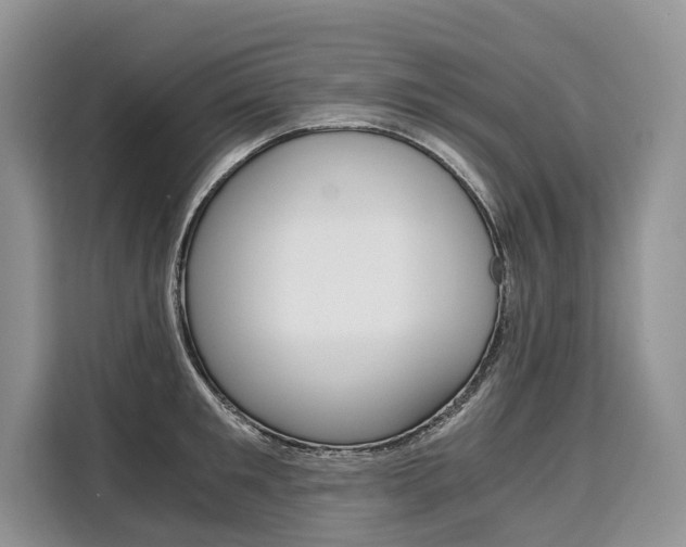 X0000110320901200905211203