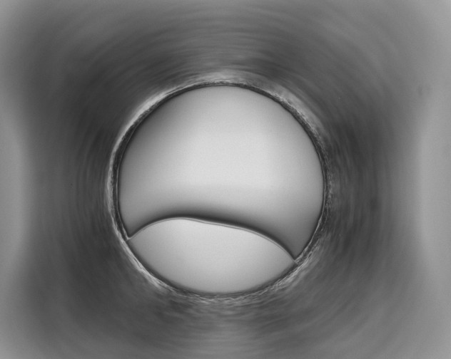 X0000110320902200905211203