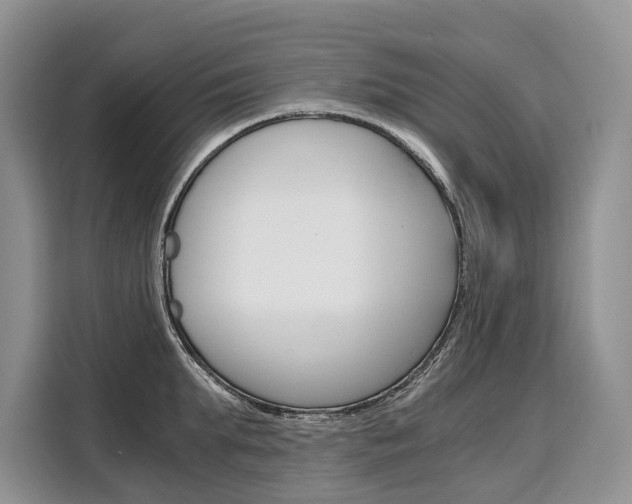 X0000110320903200905211203