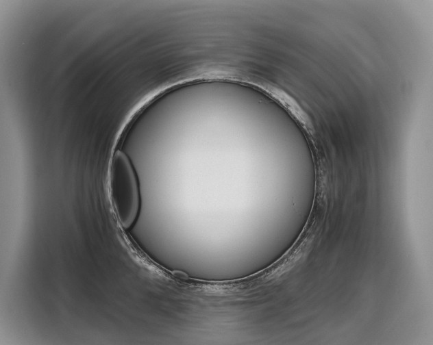 X0000110320904200905211203