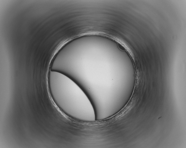 X0000110320906200905211203