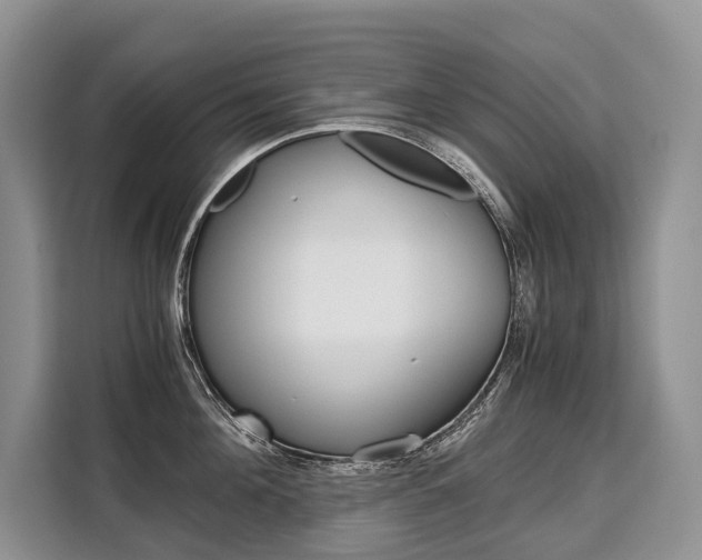 X0000110320908200905211203