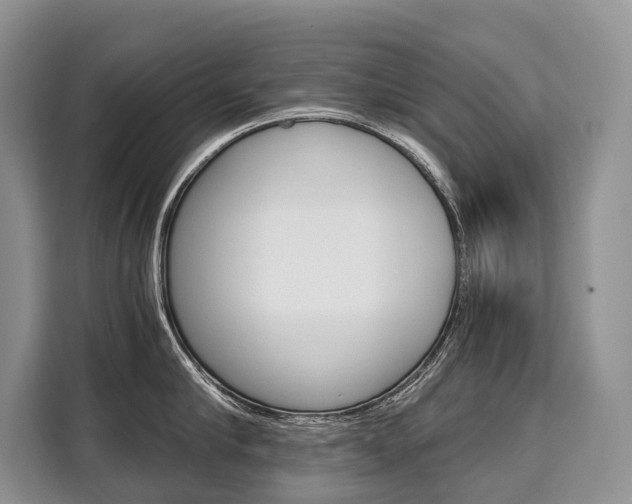 X0000110320910200905211203