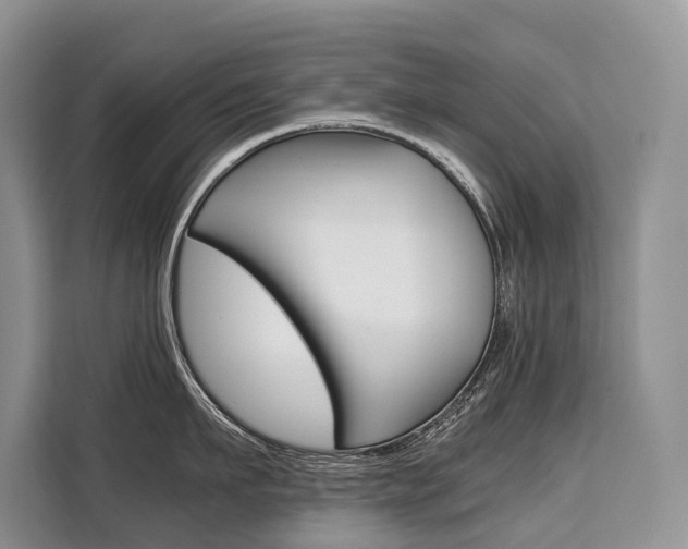 X0000110320911200905211203