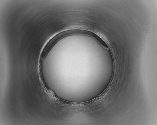 X0000110320912200905211203