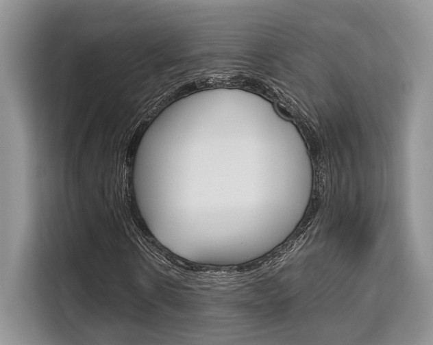 X0000110320914200905211202
