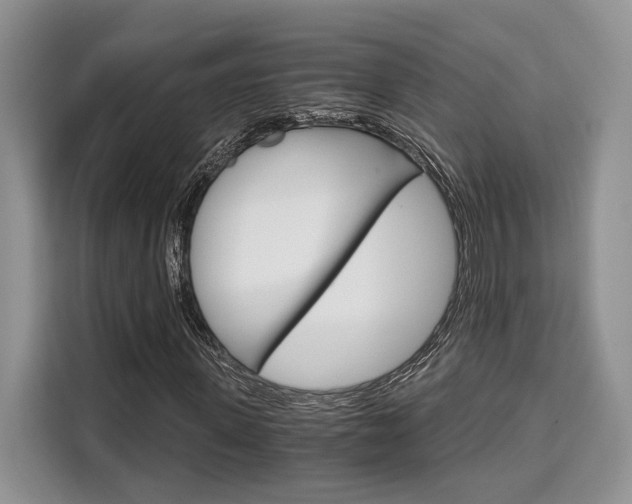 X0000110320915200905211202