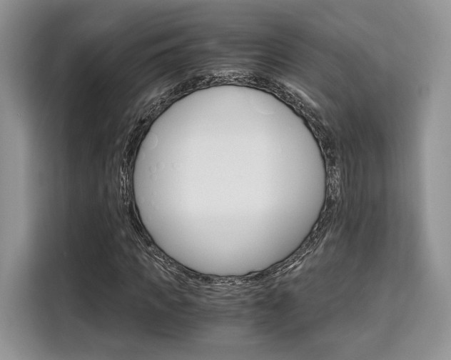 X0000110320917200905211202
