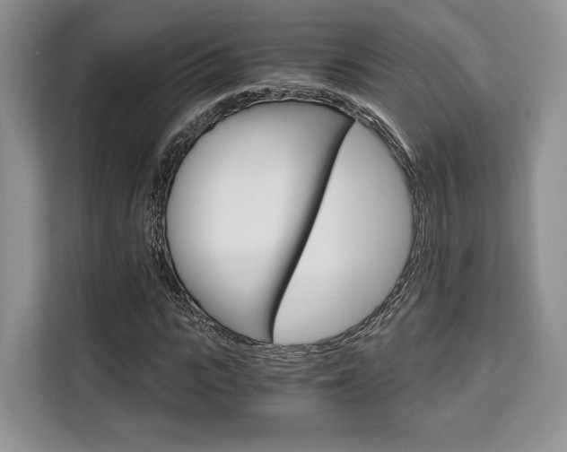 X0000110320919200905211202