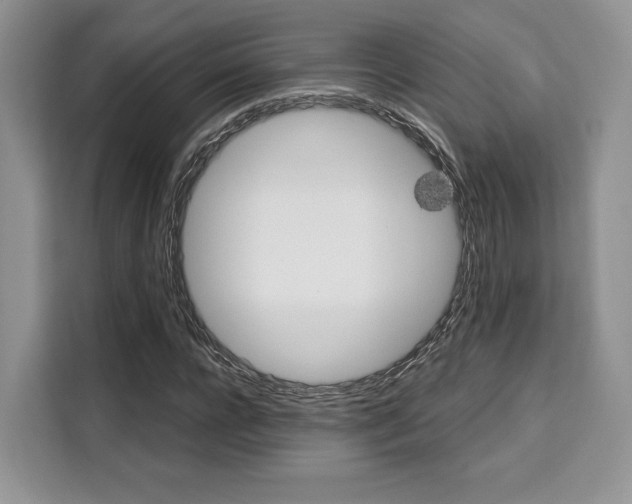 X0000110320920200905211202