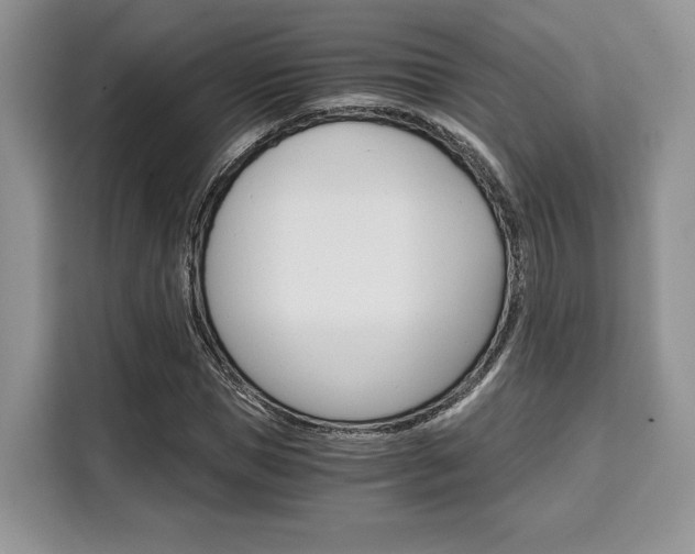 X0000110320921200905211202