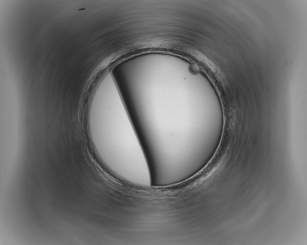 X0000110320922200905211202