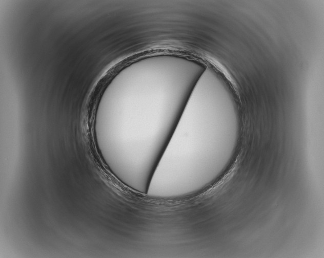X0000110320923200905211202