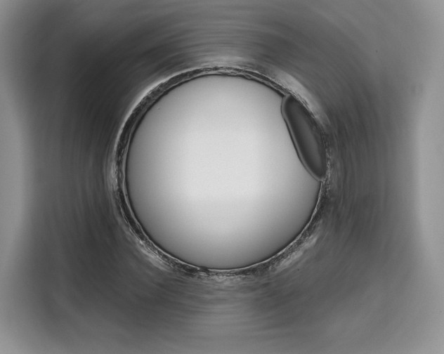X0000110320924200905211203