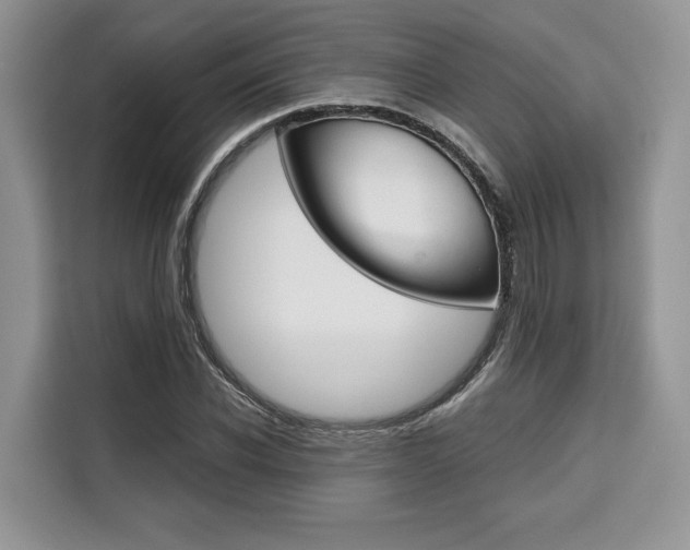 X0000110320926200905211203