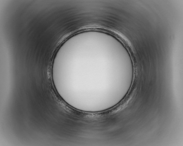 X0000110320929200905211203
