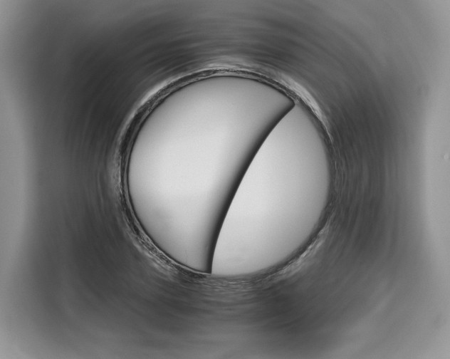 X0000110320931200905211203