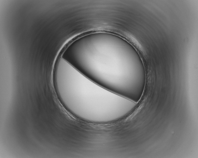X0000110320932200905211203