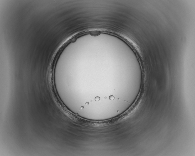 X0000110320933200905211203