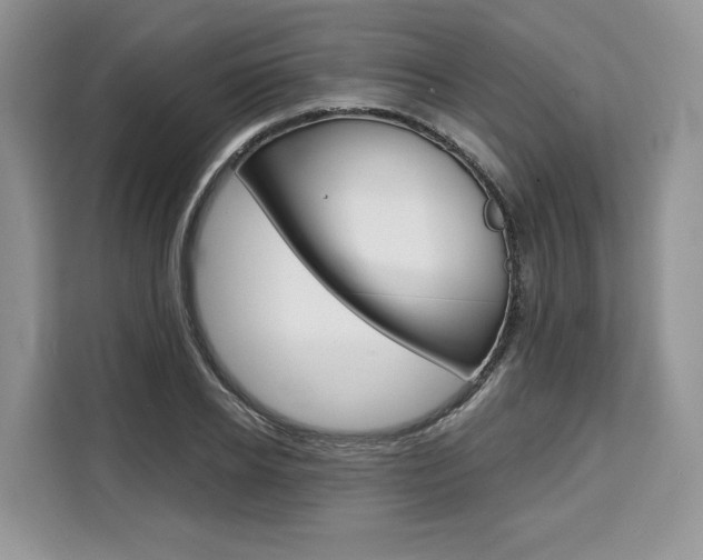 X0000110320934200905211203