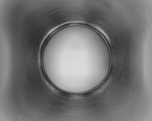 X0000110320935200905211203