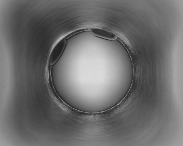 X0000110320936200905211203