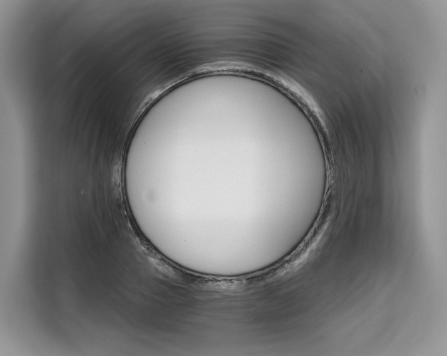 X0000110320937200905211203