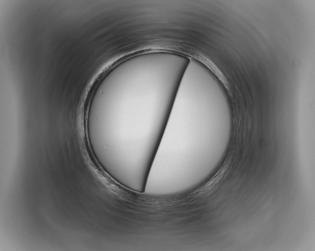 X0000110320939200905211203