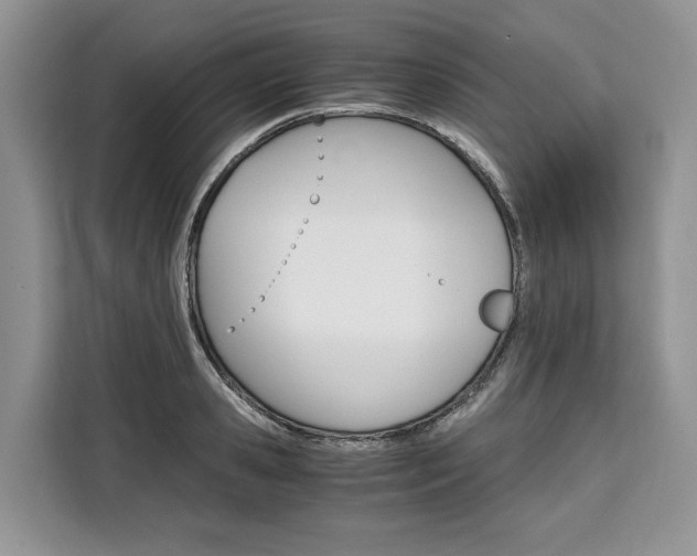 X0000110320941200905211203